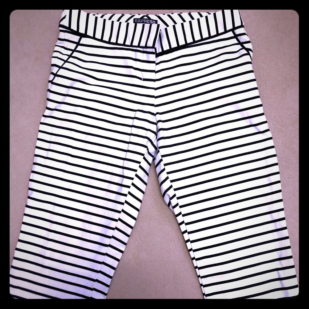Express Columnist Pants